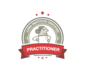 LUMA Design Thinking badge